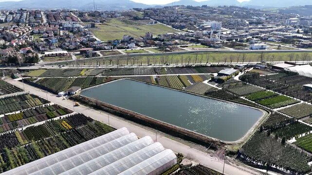 Top view aerial footage of a natural lake surrounded by cultivated agricultural land and green fields. Scenic rural landscape representing irrigation, agriculture, water resources, sustainability, far