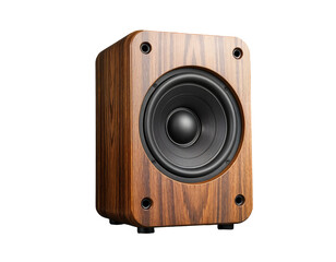 Classic Wooden Bookshelf Speaker for Home Audio