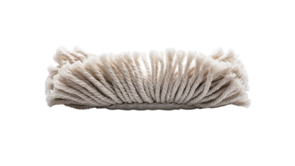 Detailed close-up of white coral reef fragment with textured surface, natural lighting, isolated on transparent background