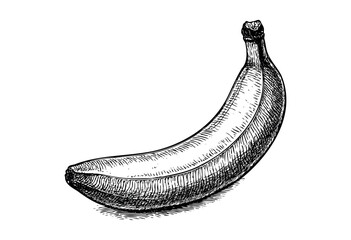 A single banana is depicted in a classic ink sketch style with fine lines and hatching on a stark white background, conveying a retro, artistic feel.