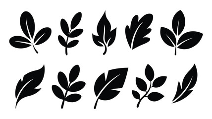 Obraz premium Various black leaf silhouettes featuring diverse forms including oak like shapes on white