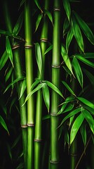 Lush Green Bamboo Forest, Close Up