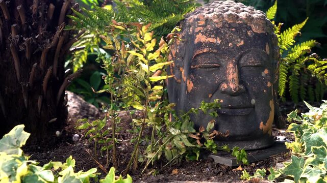 Ancient Buddha Head  Statue in foliage of Asian Rain Forest or Jungle, shot in 4K