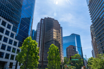 Fototapeta premium Modern skyscrapers rising above green trees in vancouver's financial district