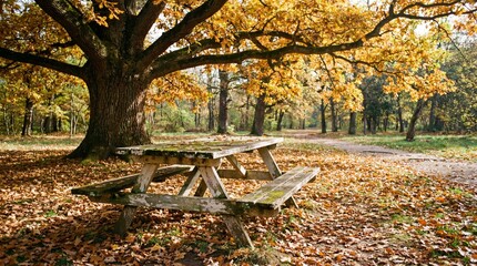 Wooden picnic table with bench in an autumn park. Changing season and peaceful nature scene. Outdoor leisure concept.