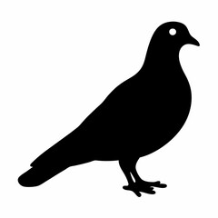 Fototapeta premium Black silhouette of a pigeon bird standing on the white background