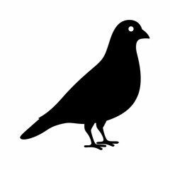 Fototapeta premium Monochrome silhouette of a pigeon bird standing still in profile view