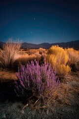 Nighttime Landscape with Purple Flowers