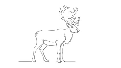 Fototapeta premium deer running minimalistic line art