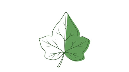 Illustration of a Dual Colored Leaf.