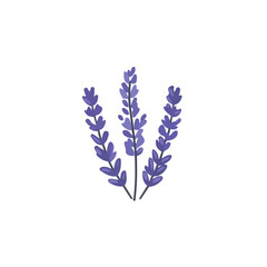An Imaginary 2D flat icon lavender bunch, modern element in vector and EPS format, clean vector, isolated on a white background, An Icon clipart set