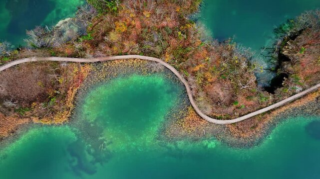 Aerial drone view of the winding wooden walkways built above turquoise shallows and wetlands at Plitvice Lakes, Croatia