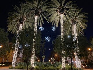 Palm Tree Lights At Christmas Time
