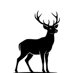 Obraz premium Empty vector file display Vector