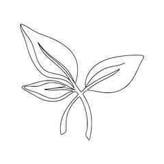 Empty vector file display Vector