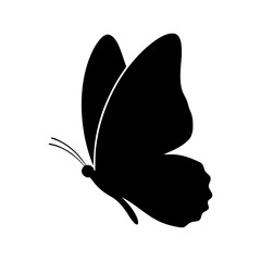 Empty vector file display Vector