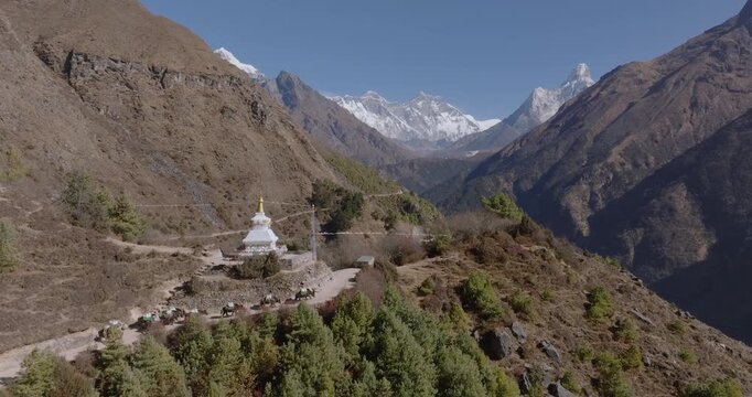 Yak caravan transporting supplies along Himalayan trails in the Sagarmatha region near Namche, Nepal. Traditional logistics and rural livelihood scene used on the Everest route.