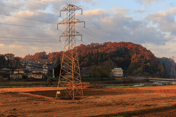 冬の田園と送電塔・朝日を浴びる里山の紅葉が残る日本の郊外風景

