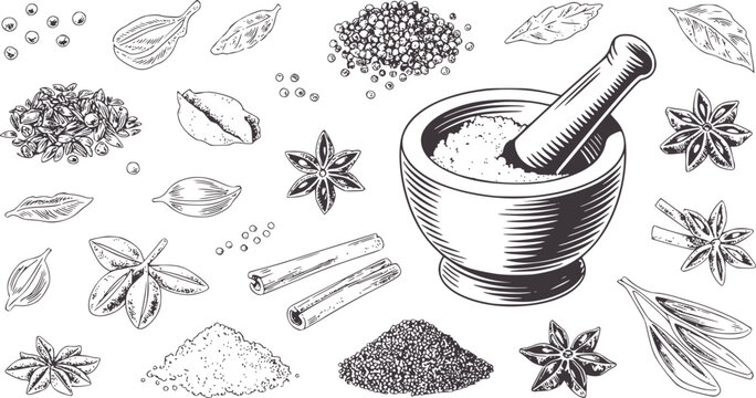 Mortar and pestle with various herbs and spices monochrome