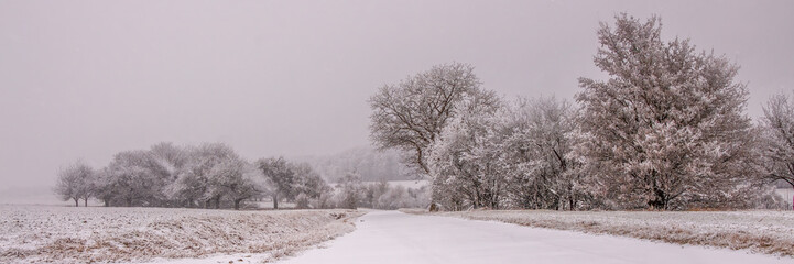 Snowy rural road passing frosted trees in misty winter morning landscape