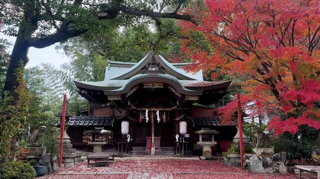 Traditional shrine entrance framed by vivid autumn foliage