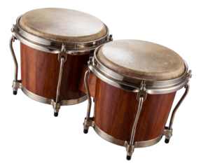 A vibrant set of bongos, perfect for adding rhythm to a tropical or world music space.