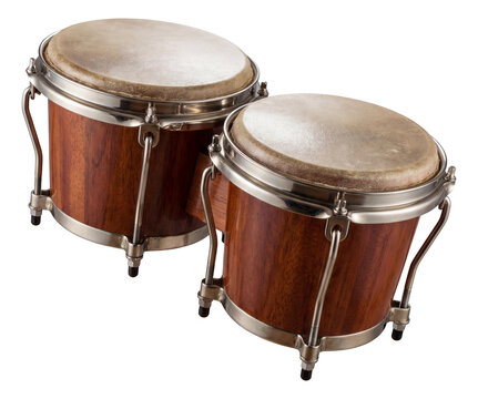 A vibrant set of bongos, perfect for adding rhythm to a tropical or world music space.
