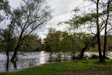 the river flows slowly through the forest