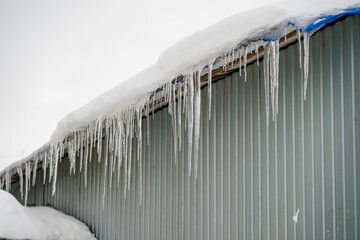 icicles made of ice hang on the snow-covered roof of a house