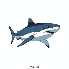 Obraz premium A blue shark illustration with teeth and fins against a white background