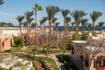 Fototapeta premium Tropical Landscape Featuring Palm Trees and Ocean View in a Luxurious Resort During a Sunny Day
