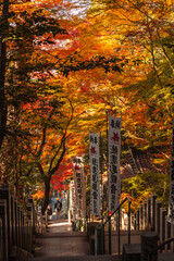 犬山寂光院（尾張のもみじ寺）の石段参道と旗を彩る紅葉のトンネル

