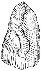 bifacial stone tool from the Paleolithic era, Acheulean period, handmade draw vectorized