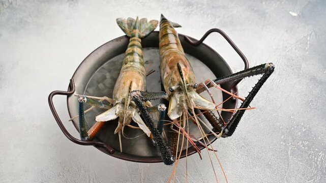 Fresh large shrimp in a bowl ready for cooking at a seafood market in the city
