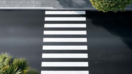 Crosswalk view showing pedestrian stripes on asphalt road with surrounding greenery and shadows, illustrating urban landscape and traffic safety features in a modern city environment