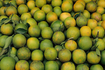 Fresh Pile of Greenish Orange Fruit Display at Local Market