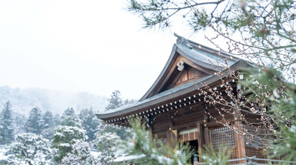雪景色の中に佇む日本の神社本殿と松の木、冬の伝統美