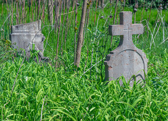 Vieux cimeti&egrave;re abandonn&eacute; &agrave; Ny&aacute;regyh&aacute;za, Hongrie