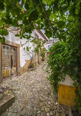 Rue pav&eacute;e dans le vieux village m&eacute;di&eacute;val d'&Oacute;bidos, Portugal