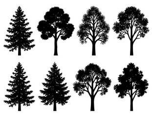 Fototapeta premium Collection of Hand-Drawn Deciduous and Coniferous Trees.