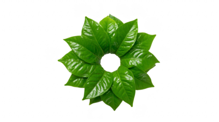 Green leaf circle, arranged in symmetrical pattern, forms natural wreath with glossy texture, symbolizing freshness, eco friendly concepts, and organic beauty