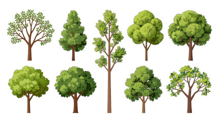 Set of nine different green illustrative trees