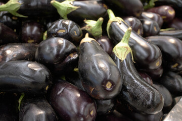 Bakłażany na straganie