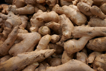 Korzeń imbiru z bliska