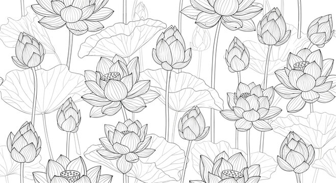Elegant seamless pattern of beautiful lotus flowers and leaves in a detailed black and white line art style for wallpaper.