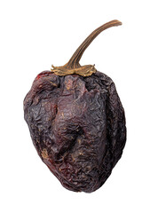Dried red chili pepper with wrinkled skin and stem in close-up photo style on white background, concept of spice and seasoning