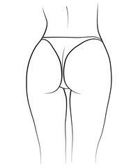vector illustration of a woman body butt