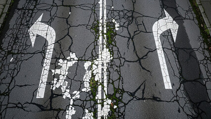 Cracked road pavement with directional arrows and greenery  