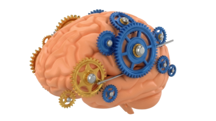 Human brain with gears isolated PNG, representing intelligence, cognitive function, and the mechanics of thought on transparent background