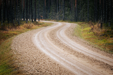 Winding dirt road through a lush forest landscape, surrounded by tall trees and vibrant greenery, creating a serene and tranquil outdoor atmosphere for exploration and adventure